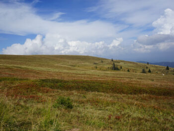 Feldberg