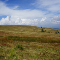 Feldberg