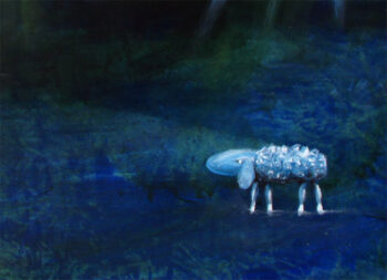Schaf-Sheep