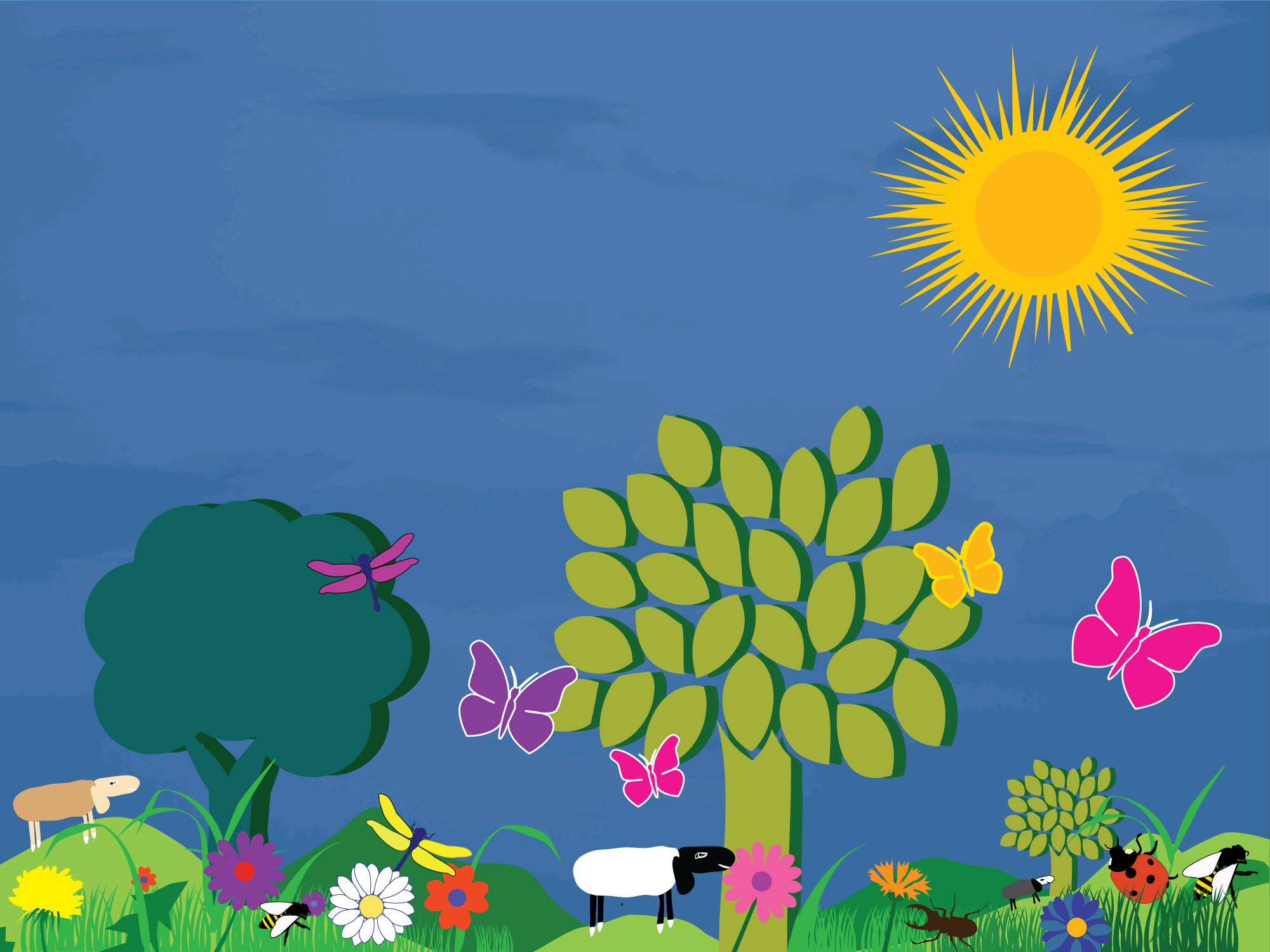 Sommerwiese